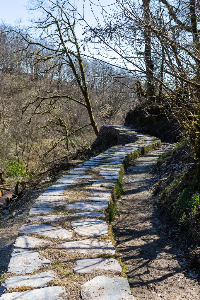 A large leat and Devon stone wall runs along the verge in Ashcombe gardens, Exmoor National Park.