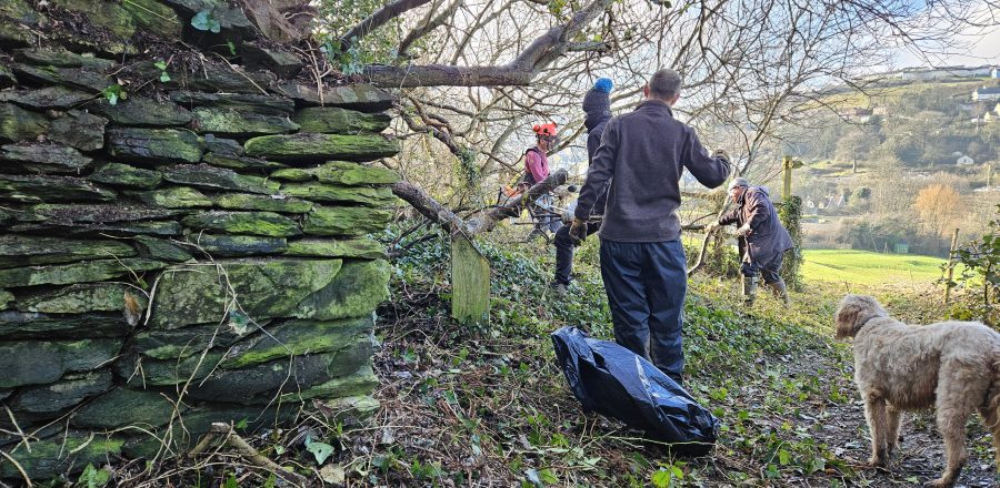 Ilfracombe – Friends of Hillsborough – Volunteer Day (6) A team of volunteers help clear overgrown scrub land and pathways in Ilfracombe Devon, to help encourage re-growth of wildflowers and trees.